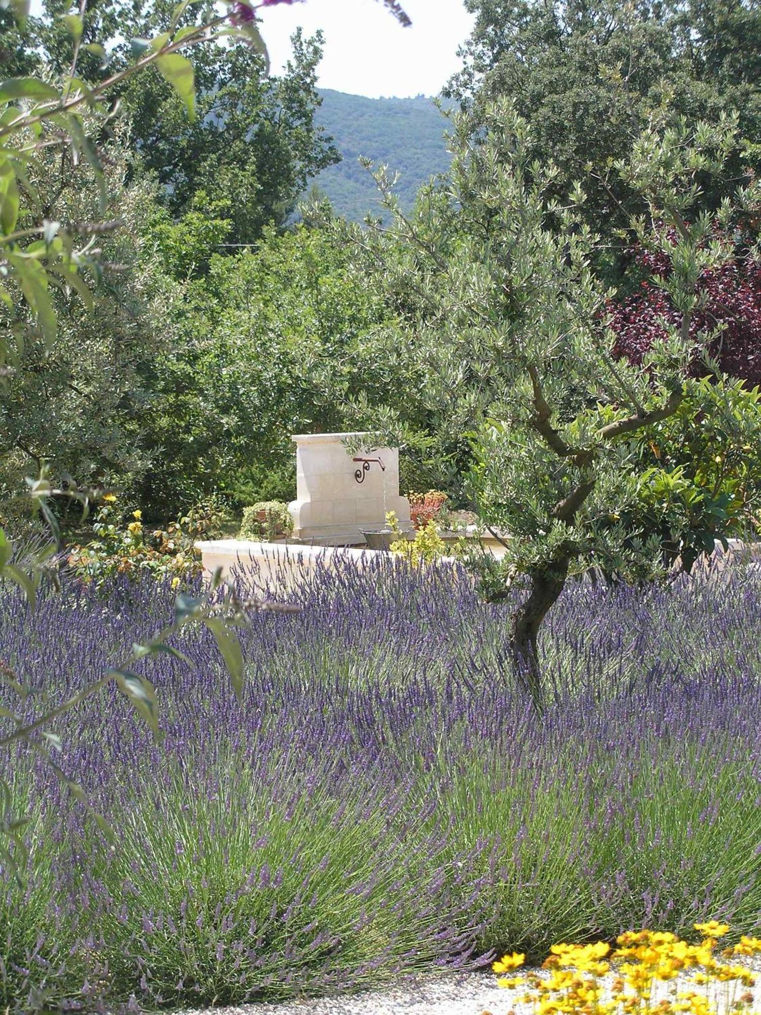 Clos Des Lavandes - Chambres Et Suites De Charme Climatisees-Luberon Лакост Екстериор снимка