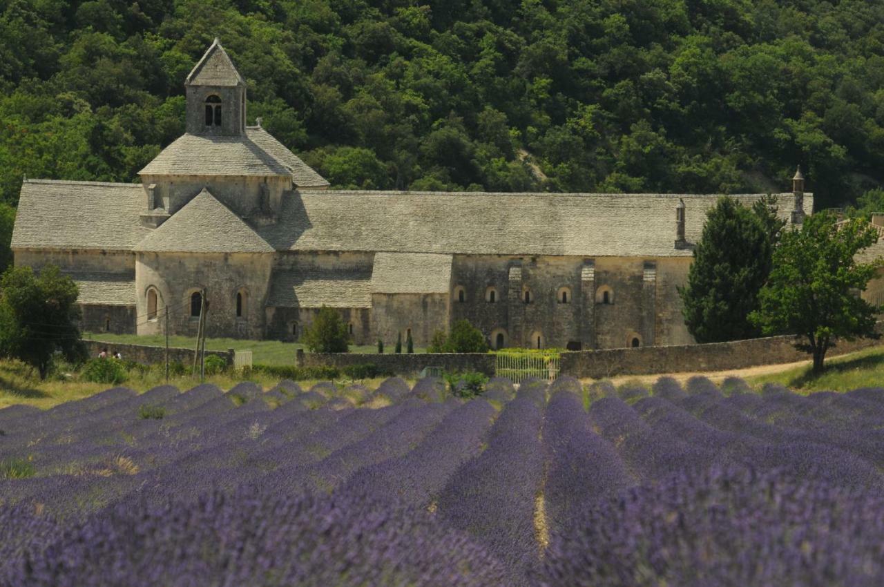 Clos Des Lavandes - Luberon Лакост Екстериор снимка